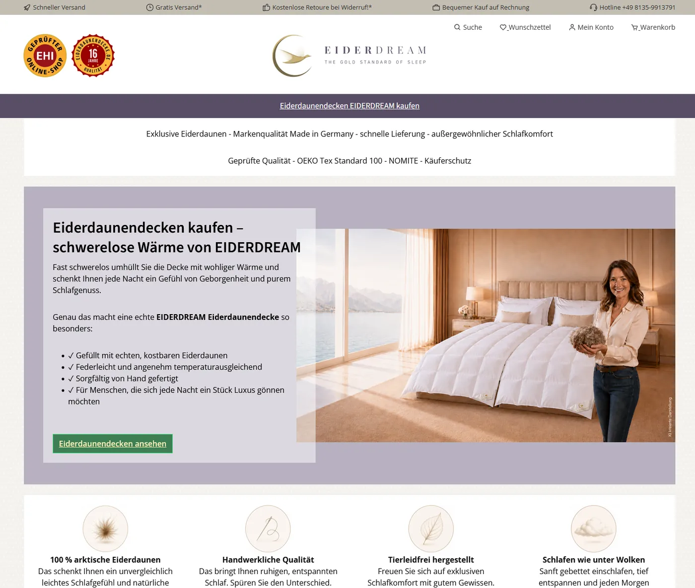 Screenshot EIDERDREAM